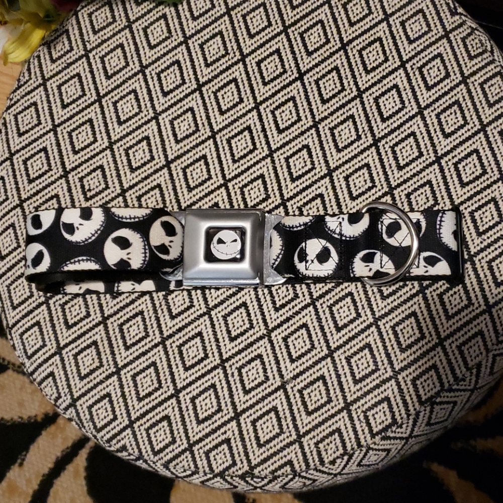 Buckle Down dog collar